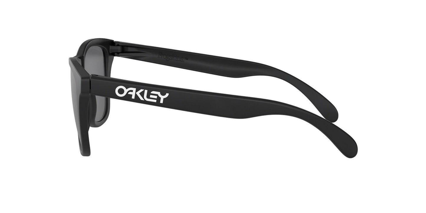 Oaakley Frogskins 9013 Sunglasses