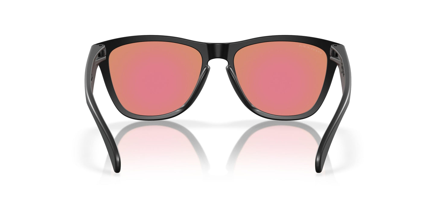 Oaakley Frogskins 9245 Sunglasses