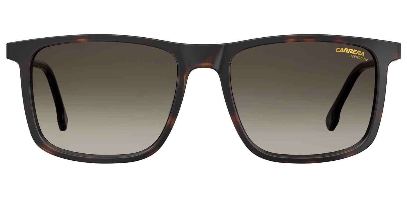 Carreera 231 Sunglasses