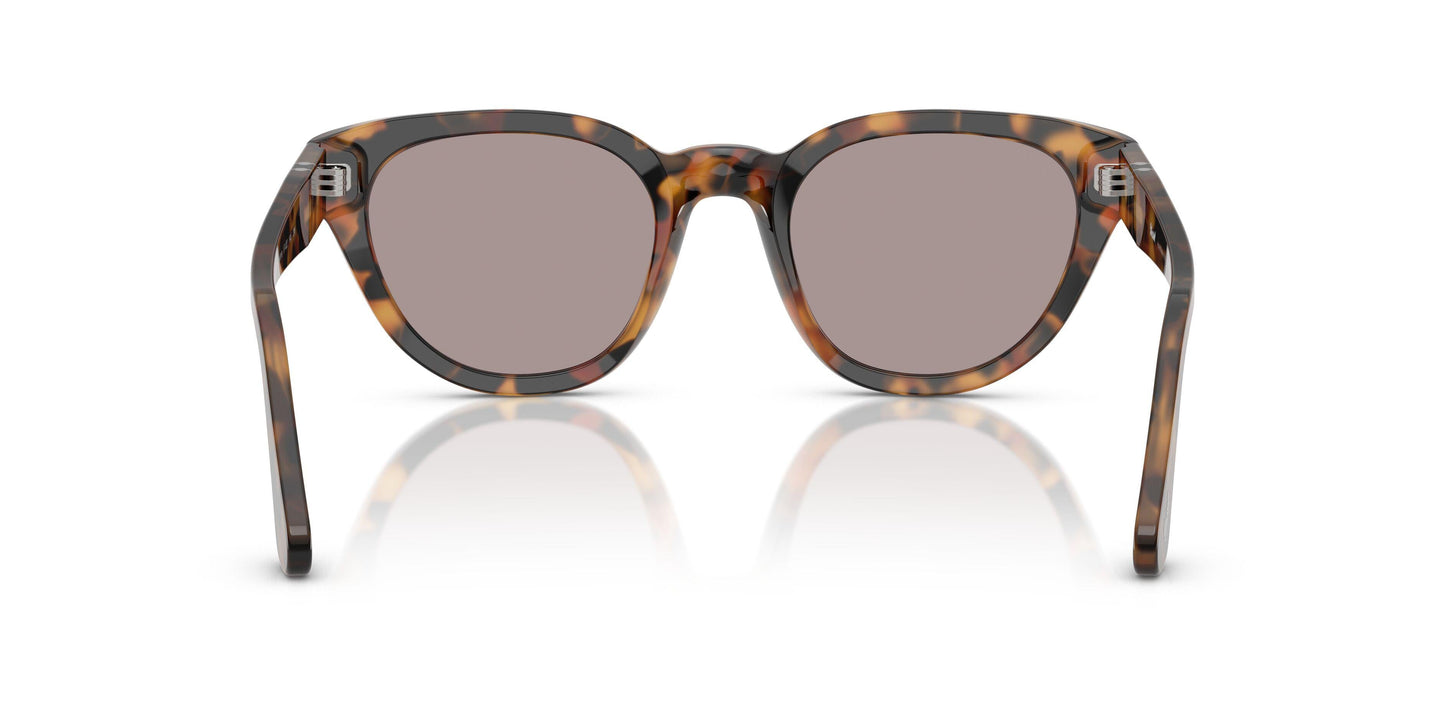 Persol 3379S Sunglasses