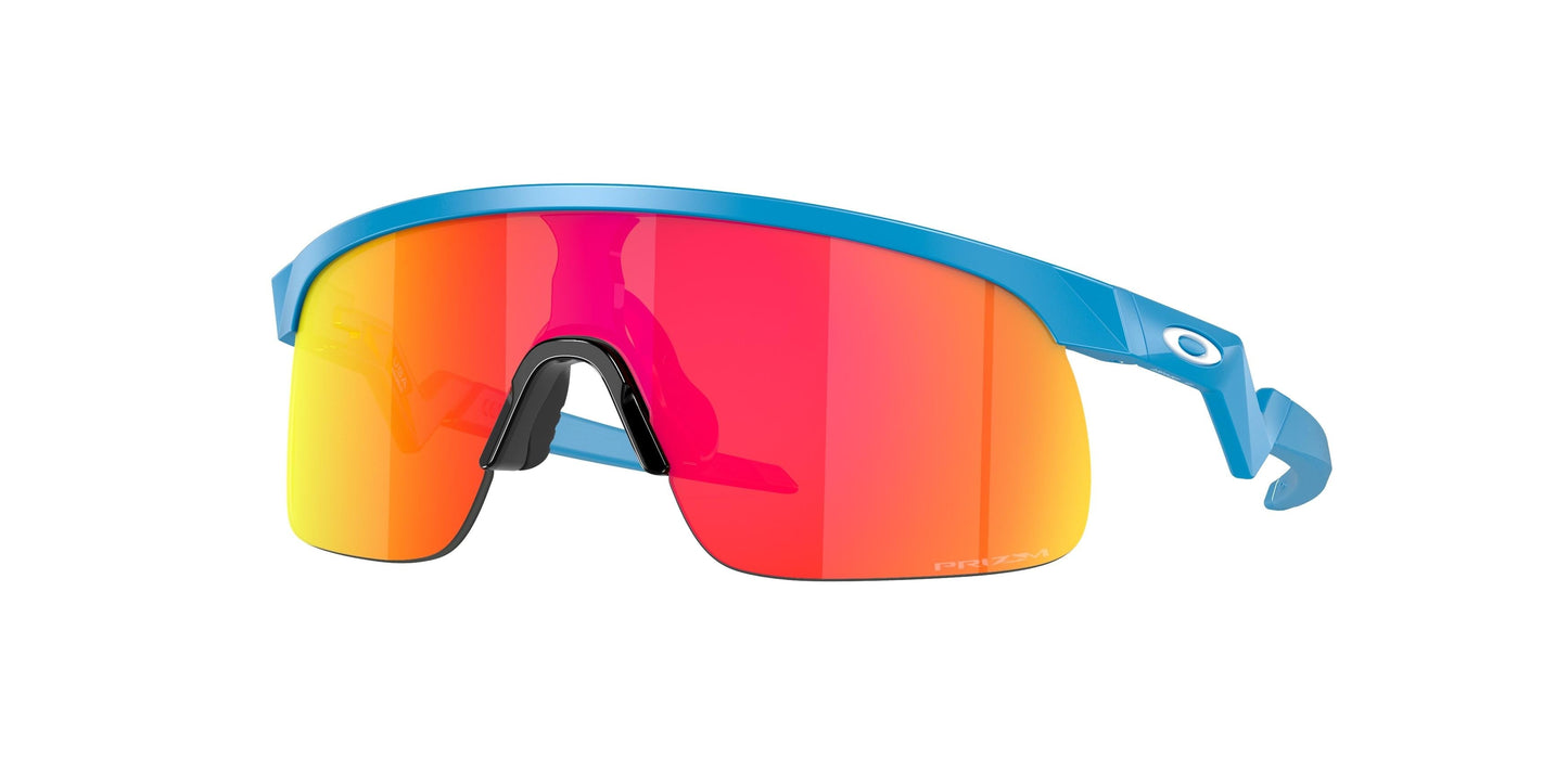 Oaakley Resistor 9010 Sunglasses