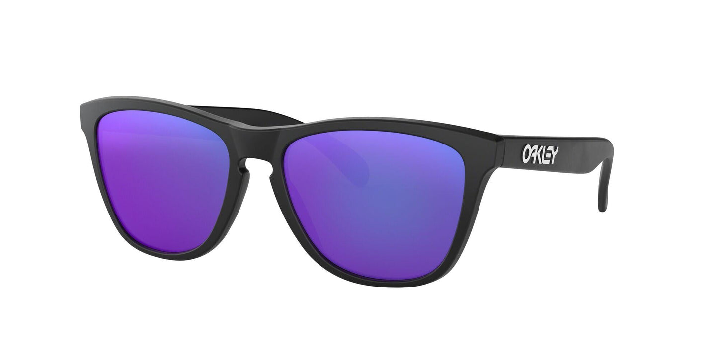 Oaakley Frogskins 9013 Sunglasses