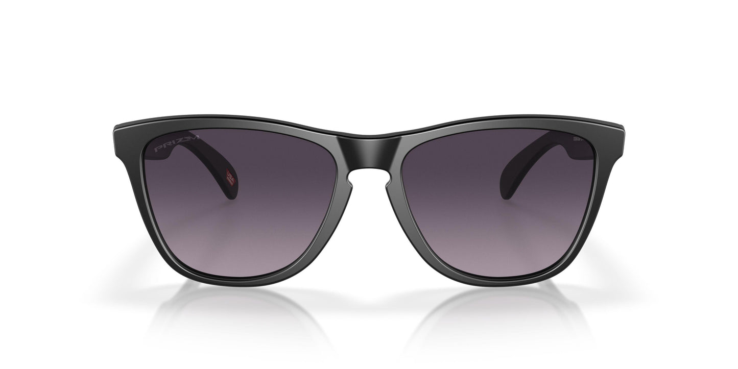 Oaakley Frogskins 9245 Sunglasses