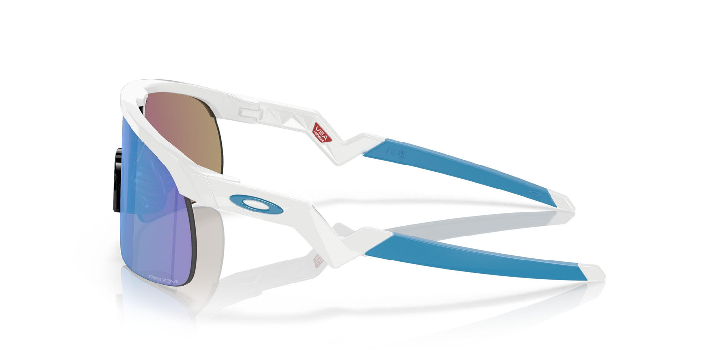 Oaakley Resistor 9010 Sunglasses