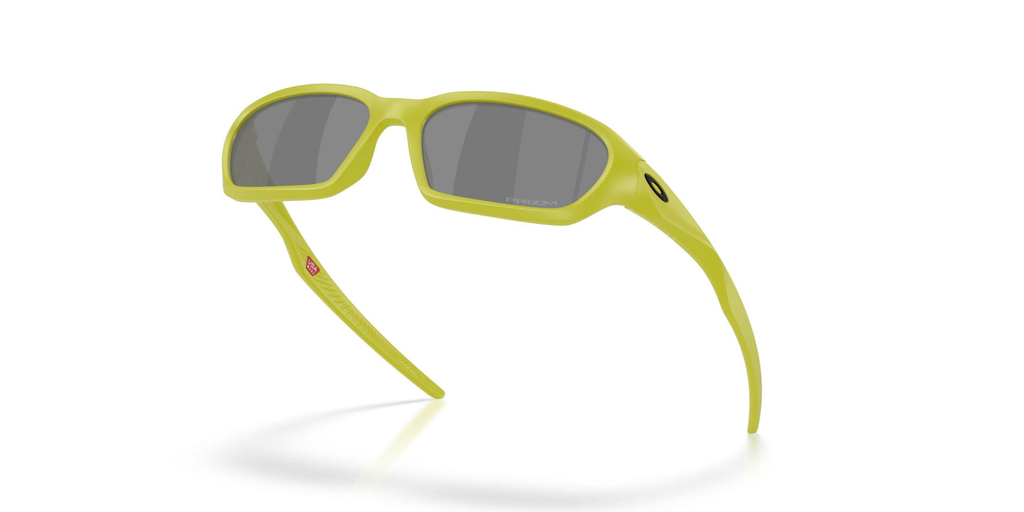 Oaakley Terraforma 9530 Sunglasses
