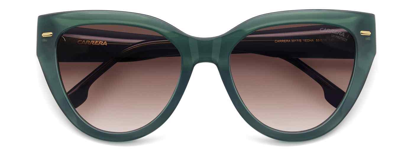 Carreera 3017 Sunglasses