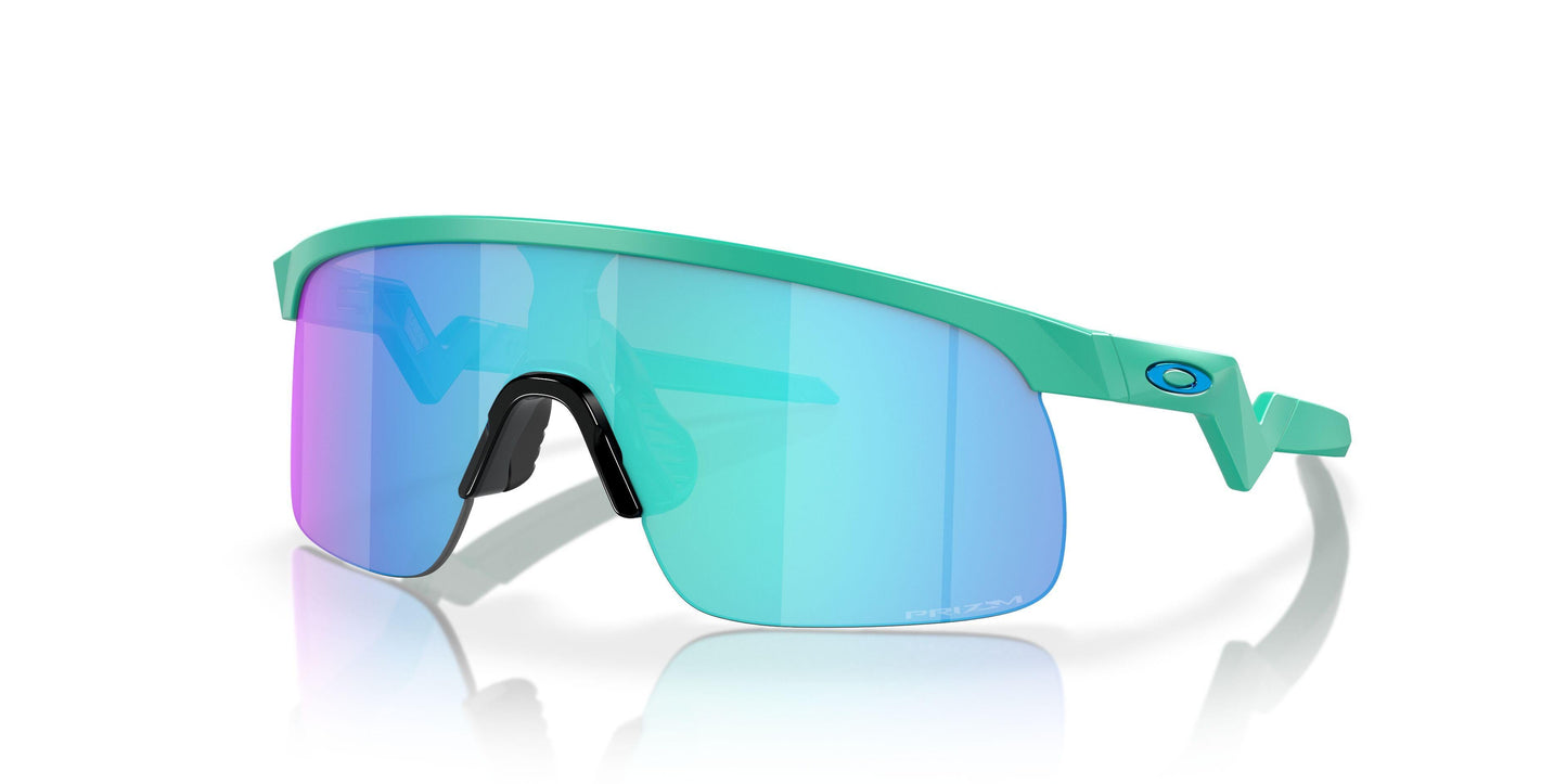 Oaakley Resistor 9010 Sunglasses