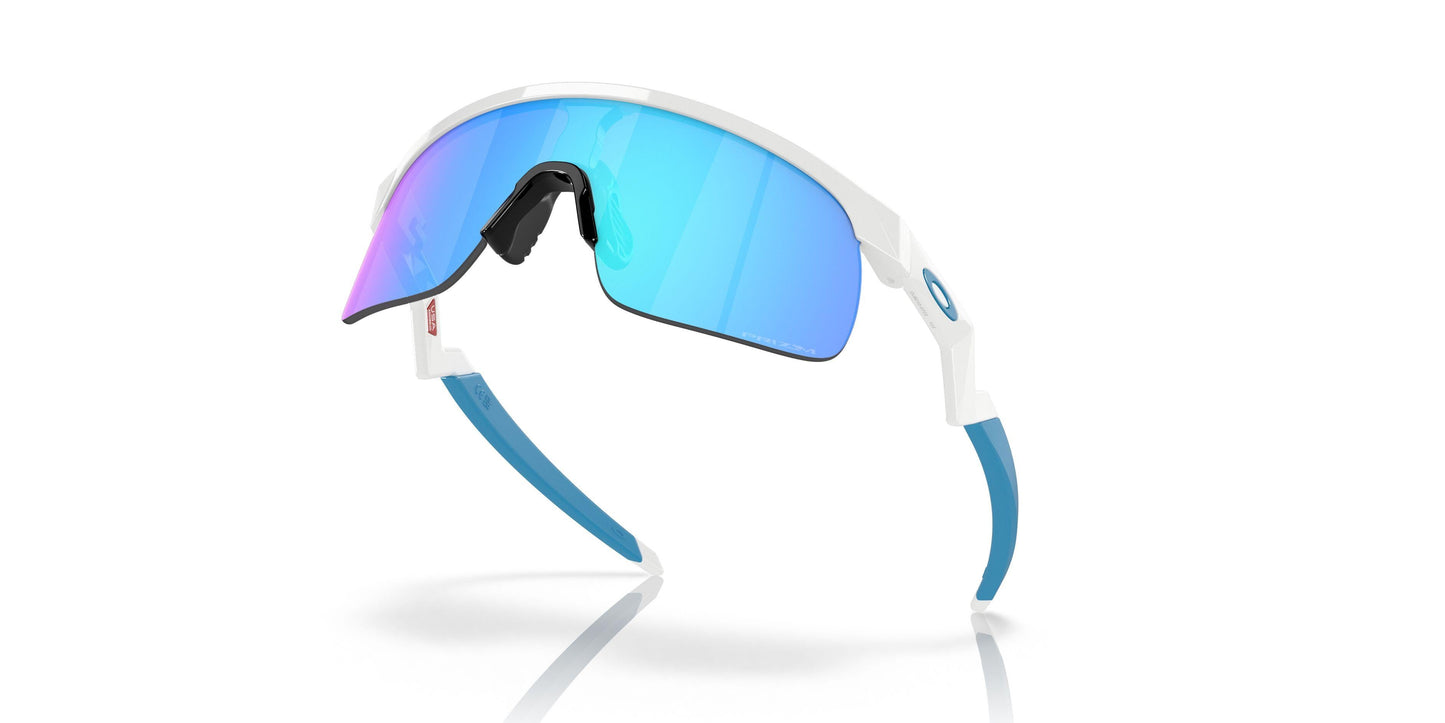 Oaakley Resistor 9010 Sunglasses