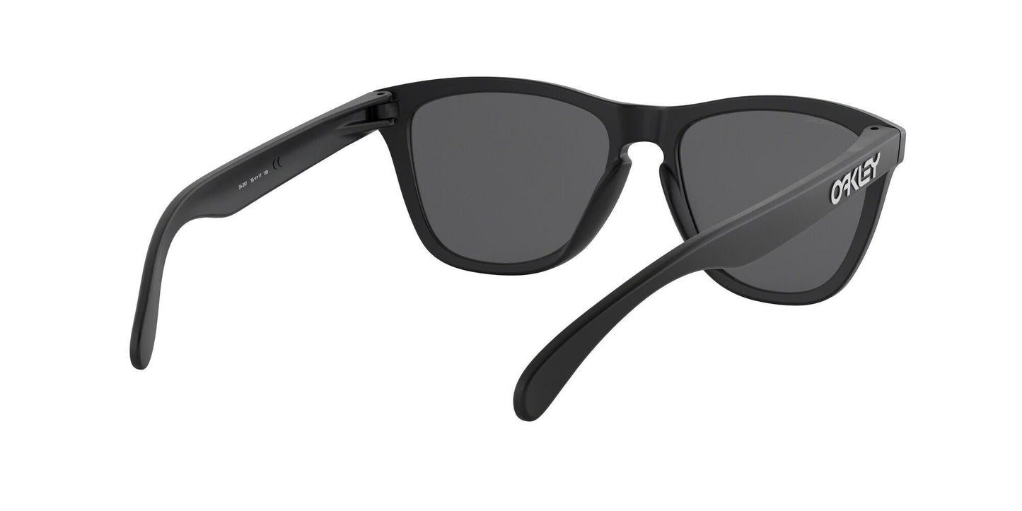 Oaakley Frogskins 9013 Sunglasses
