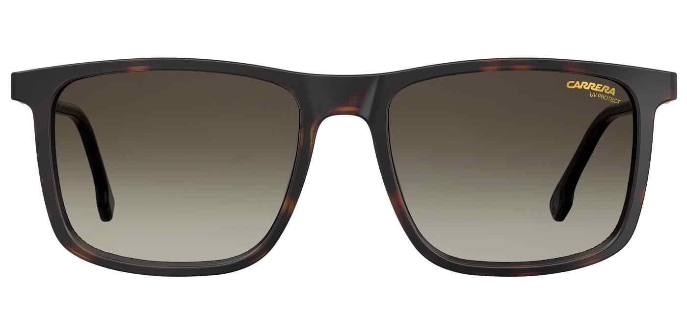 Carreera 231 Sunglasses