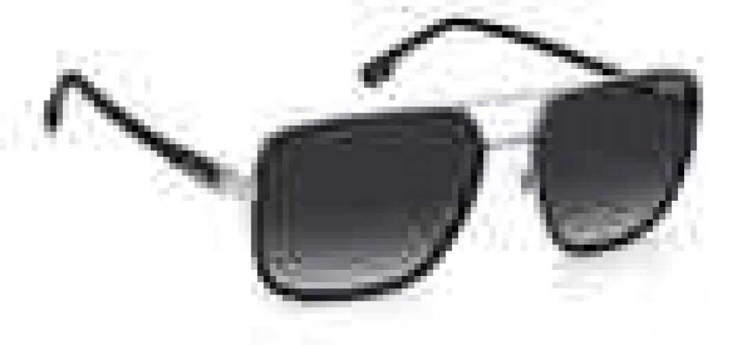 Carreera 256 Sunglasses