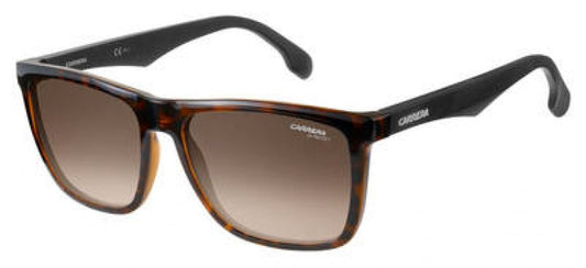 Carreera 5041 Sunglasses