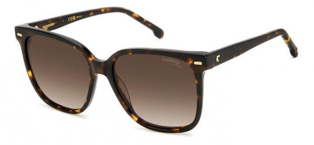 Carreera 3002 Sunglasses