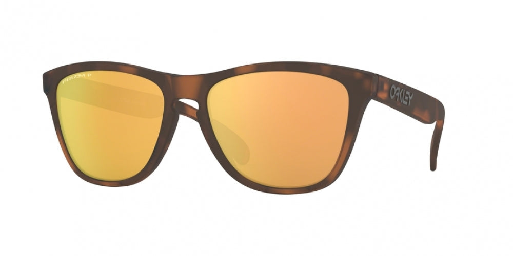 Oaakley Frogskins 9013 Sunglasses