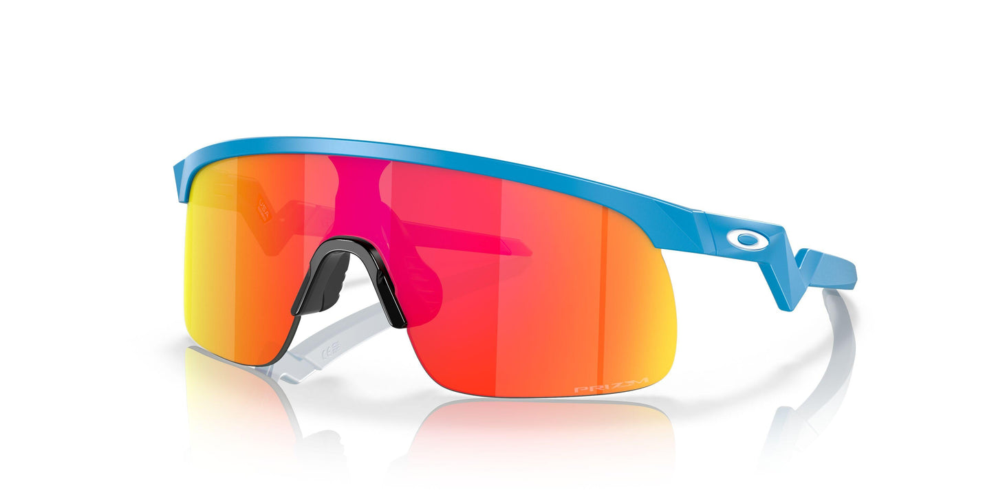 Oaakley Resistor 9010 Sunglasses