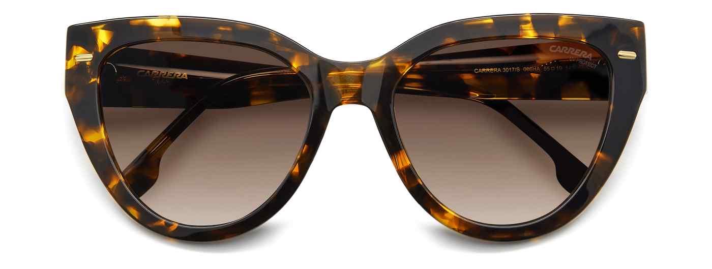 Carreera 3017 Sunglasses