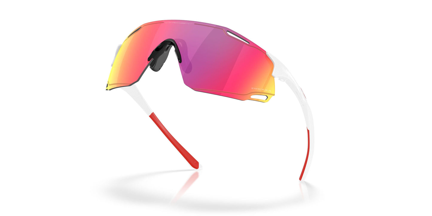 Oaakley Cybr Dyno 9513D Sunglasses