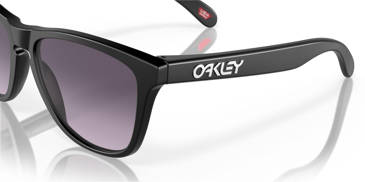 Oaakley Frogskins 9245 Sunglasses