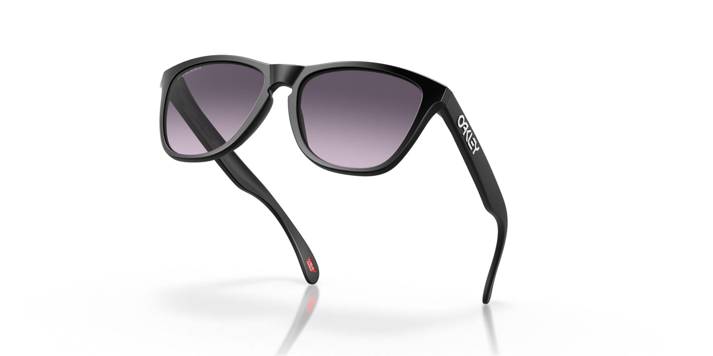 Oaakley Frogskins 9245 Sunglasses