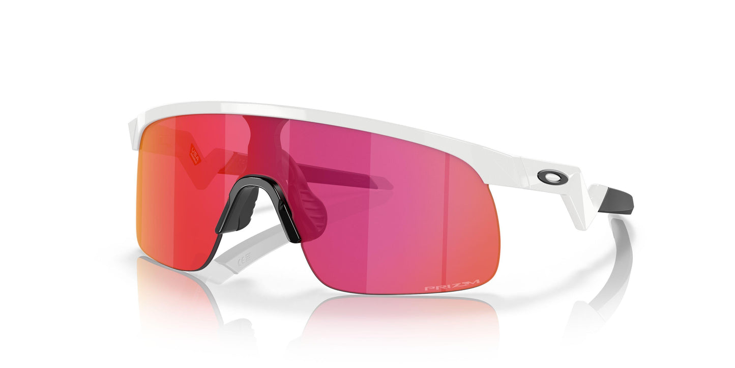 Oaakley Resistor 9010 Sunglasses