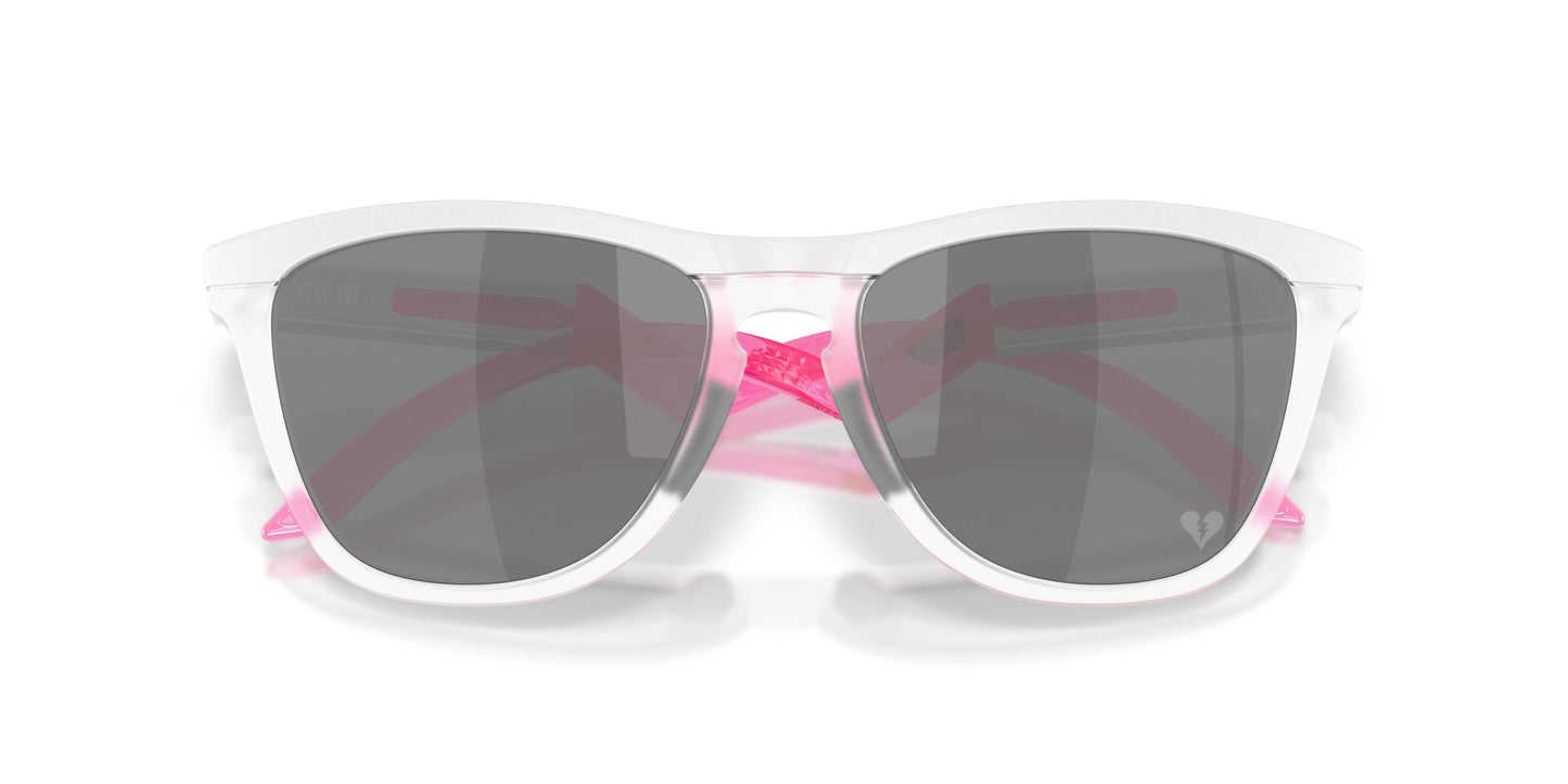 Oaakley Frogskins Hybrid 9289 Sunglasses