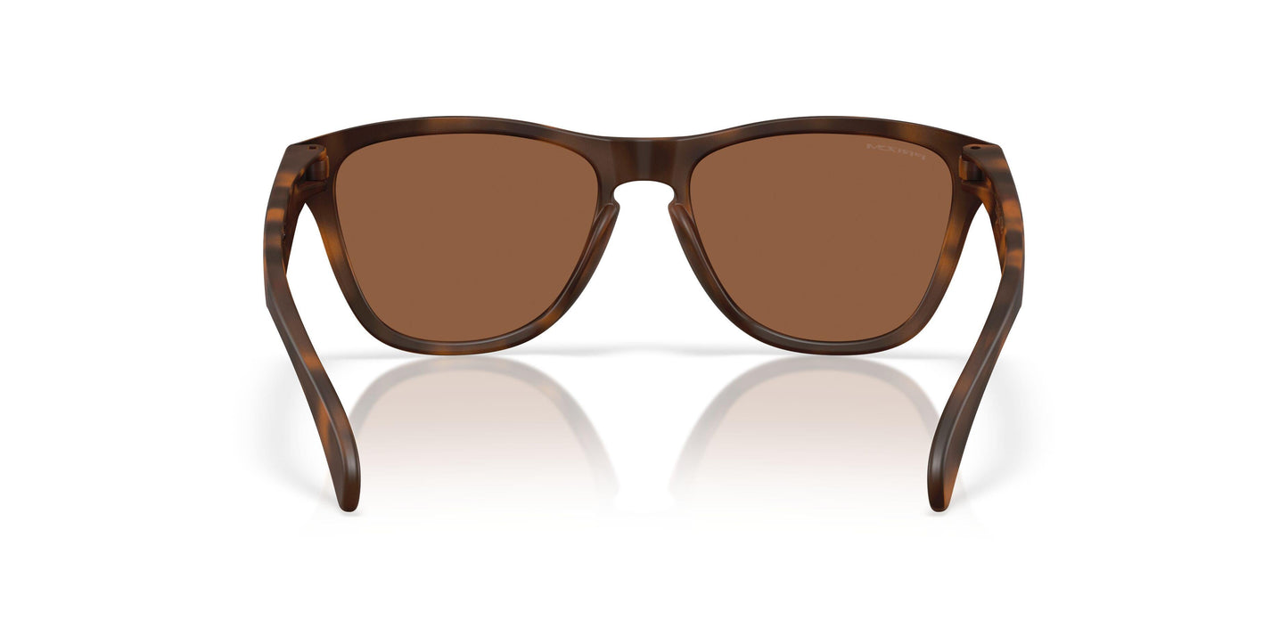 Oaakley Frogskins S 9508 Sunglasses