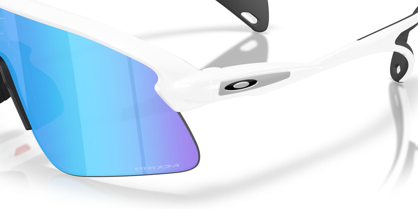 Oaakley Stunt Devil 9517 Sunglasses