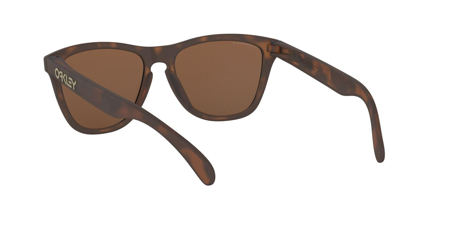 Oaakley Frogskins 9013 Sunglasses