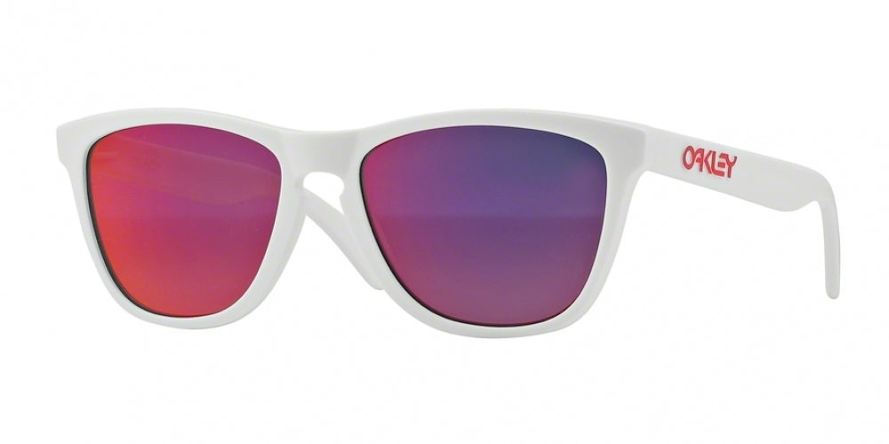 Oaakley Frogskins 9013 Sunglasses