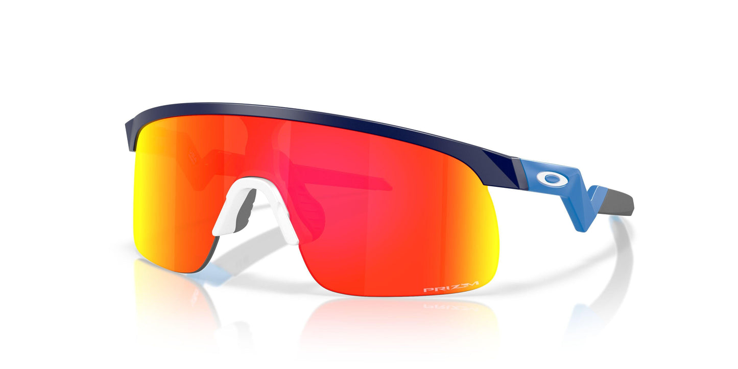 Oaakley Resistor 9010 Sunglasses