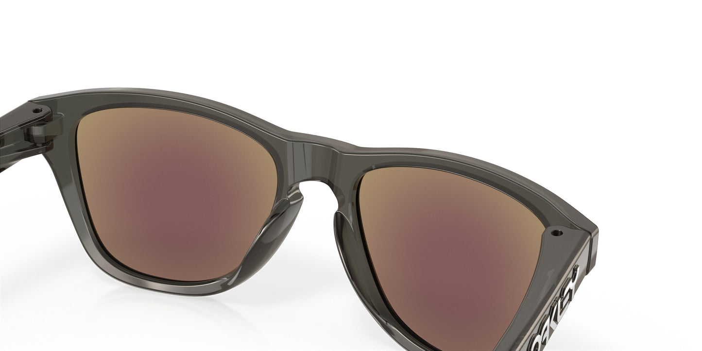 Oaakley Frogskins Xxs 9009 Sunglasses