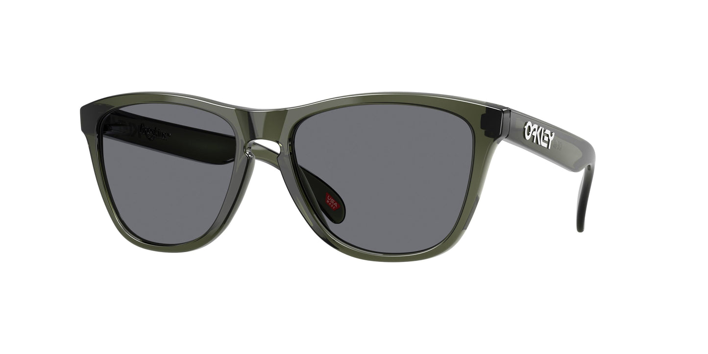Oaakley Frogskins 9013 Sunglasses