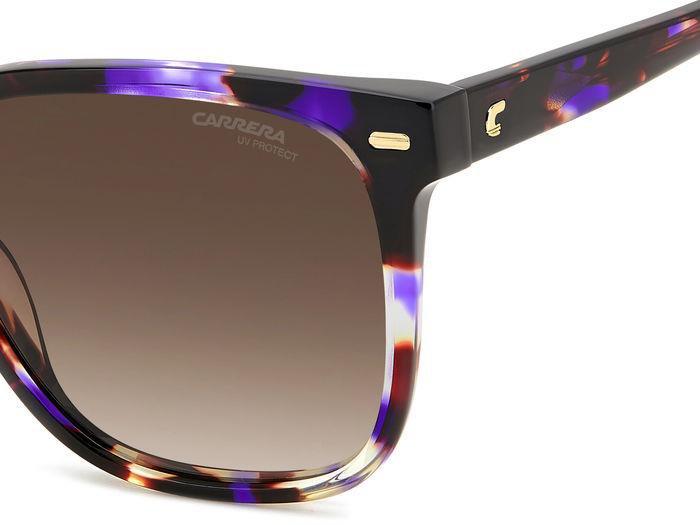 Carreera 3002 Sunglasses