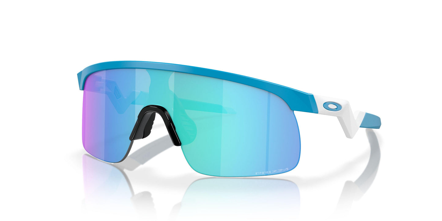 Oaakley Resistor 9010 Sunglasses